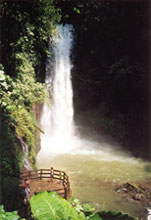 Costa Rica has several waterfalls throughout the country that attract visitors.
