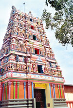 Hindu temples have no formal services. However some temples carry out certain rites daily or weekly.

