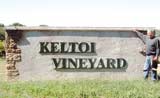 Erv Langan, outreach coordinator for Southwest Missouri State University, planted the first grapes at Keltoi in 1999.
