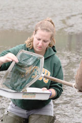 Carolyn White, freshman biology major, fishes for salamanders in the Biology Pond Feb. 22.
