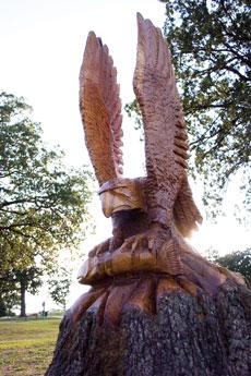 The eagle overlooks the fourteenth hole at the Carthage Golf course.
