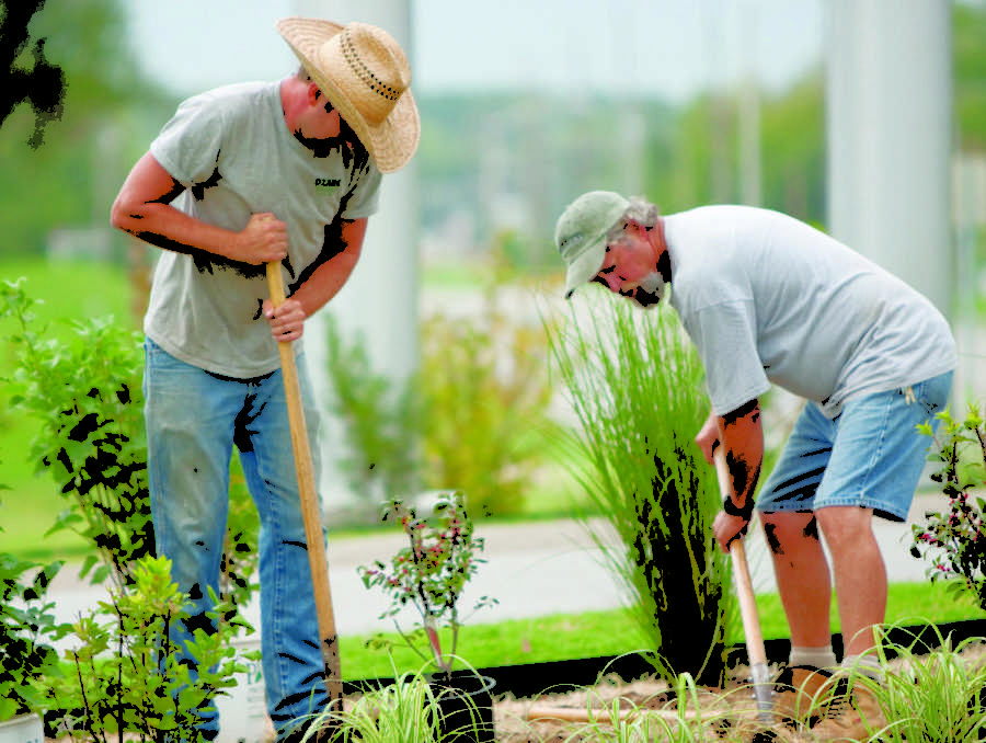 Workers from Ozark Nursery of Joplin plant trees and bushes near an entrance to the University. Campus beautification is an important part of Southern’s master plan for development.
