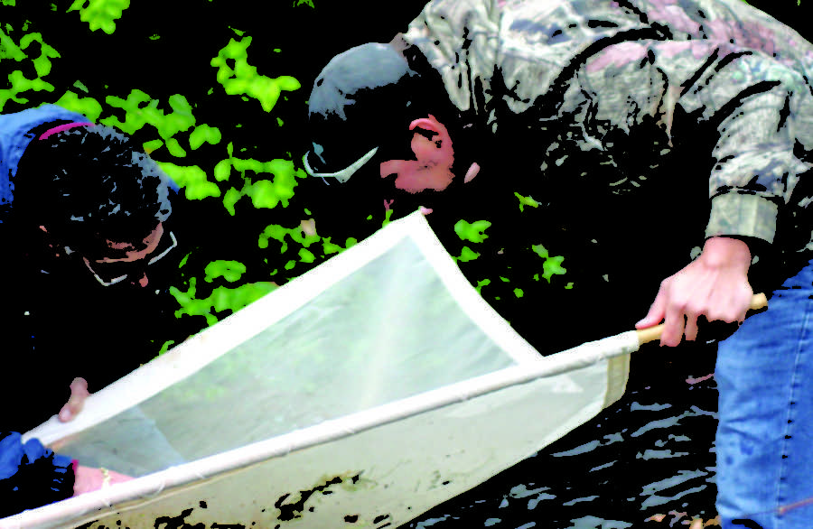 Using a kick net, Al Hash, left, Oronogo, Mo., and John Birner, Pierce City, collect an invertebrate sample at Spring Creek, a tributary to Shoal Creek, on Saturday, April 27, 2013.

