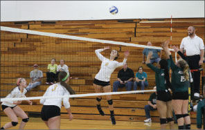 Senior outside hitter Katie Politte goes up for an attempted kill against Northwest Missouri on Sept. 27, 2014. She leads the Lions with 183 on the season.