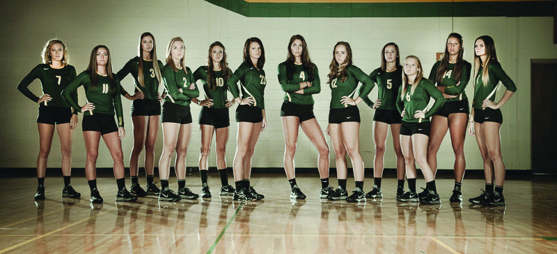 The+Missouri+Southern+volleyball+team+is+coming+off+a+8-22+2014+season.+The+Lions+won+five+of+their+eight+games+against+conference+opponents.