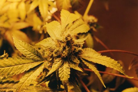 Missouri legalizes recreational marijuana